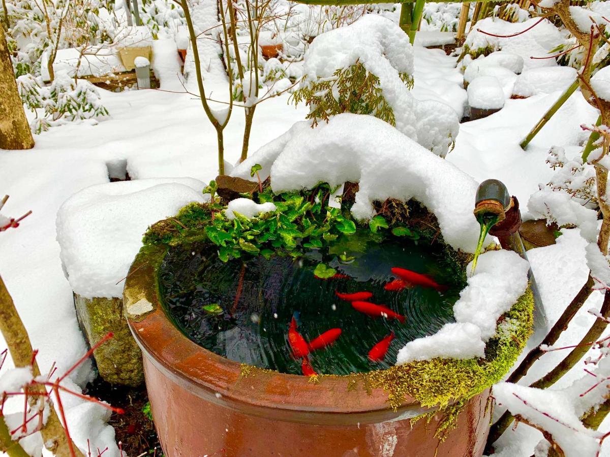 Kirishimaya Ryokan Kusatsu  Zewnętrze zdjęcie